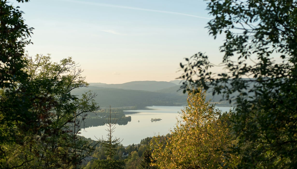Skov nær Oslo med en sø og bakker i baggrunden.