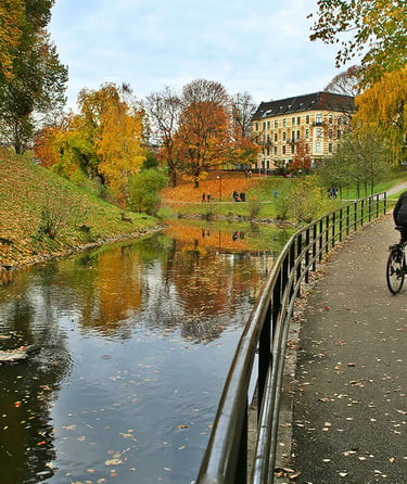 erson der cykler på en sti ved en flod om efteråret.