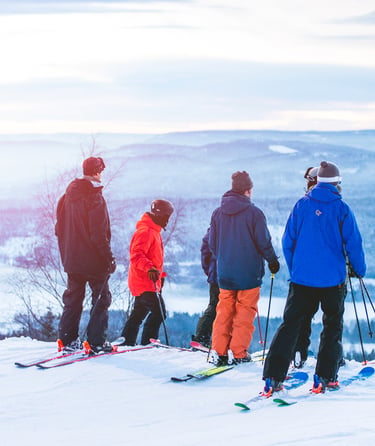Fire personer med ski på en sneklædt bakke med udsigt over et vinterlandskab.