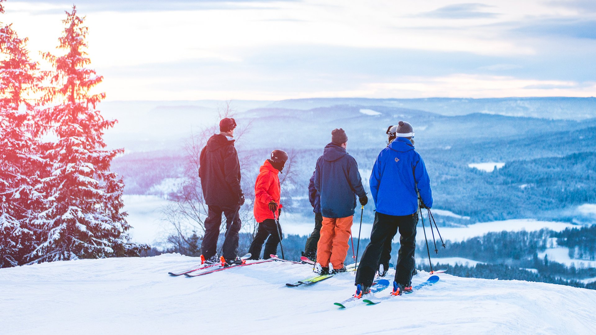 Fire personer med ski på en sneklædt bakke med udsigt over et vinterlandskab.