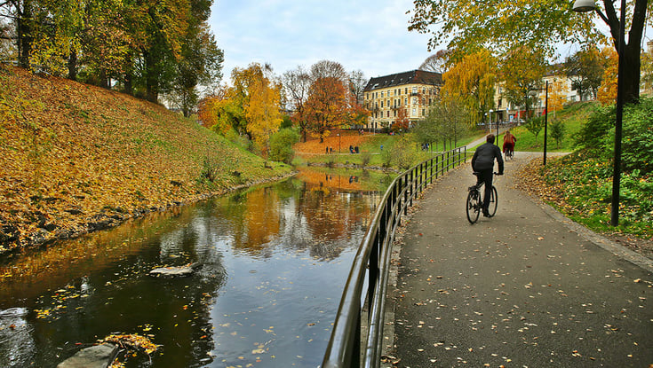 erson der cykler på en sti ved en flod om efteråret.