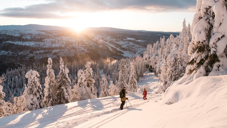 Langrend på Kvitfjell
