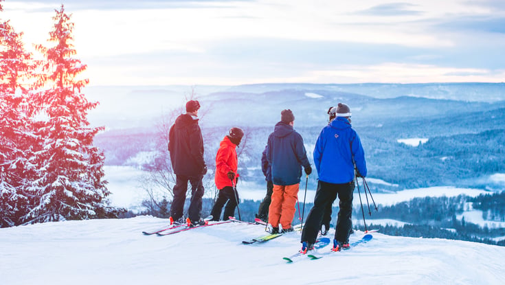 Fire personer med ski på en sneklædt bakke med udsigt over et vinterlandskab.
