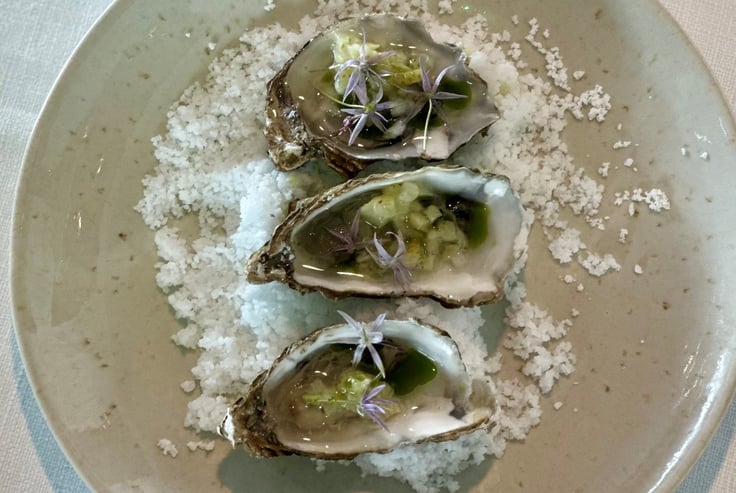 Tallerken med tre østers pyntet med grøn sauce og lilla blomster