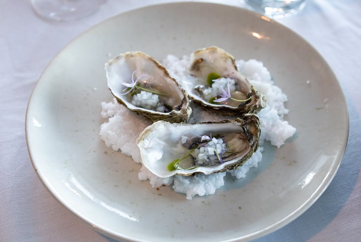 Østers på tallerken