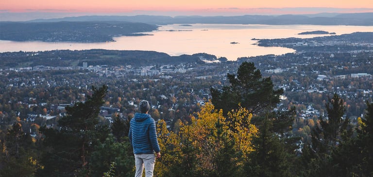 Person med udsigt over en by fra en bjergskråning.