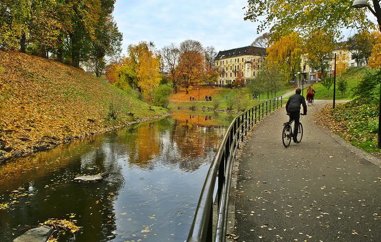 erson der cykler på en sti ved en flod om efteråret.