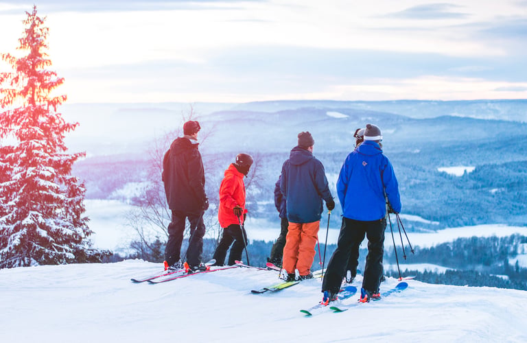 Fire personer med ski på en sneklædt bakke med udsigt over et vinterlandskab.