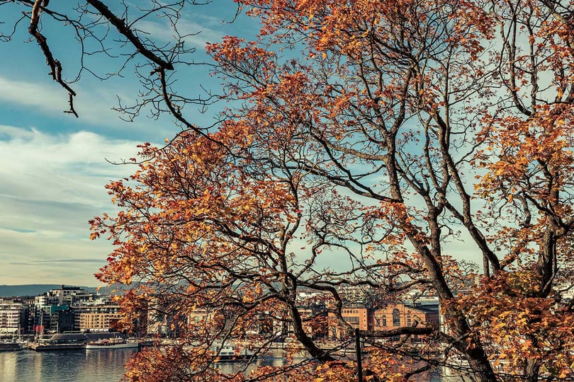 Udsigt over Oslo med efterårsfargede træer og bygninger langs vandkanten.